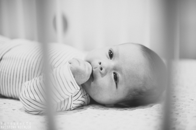 newborn photography. fotografie kristina koehler
